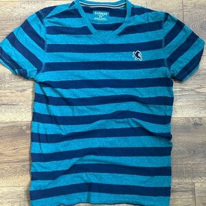 Express Men’s Striped V-Neck Tee in Teal and Navy